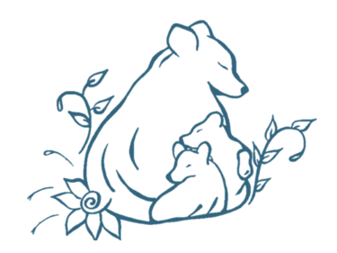 Bear - White Background